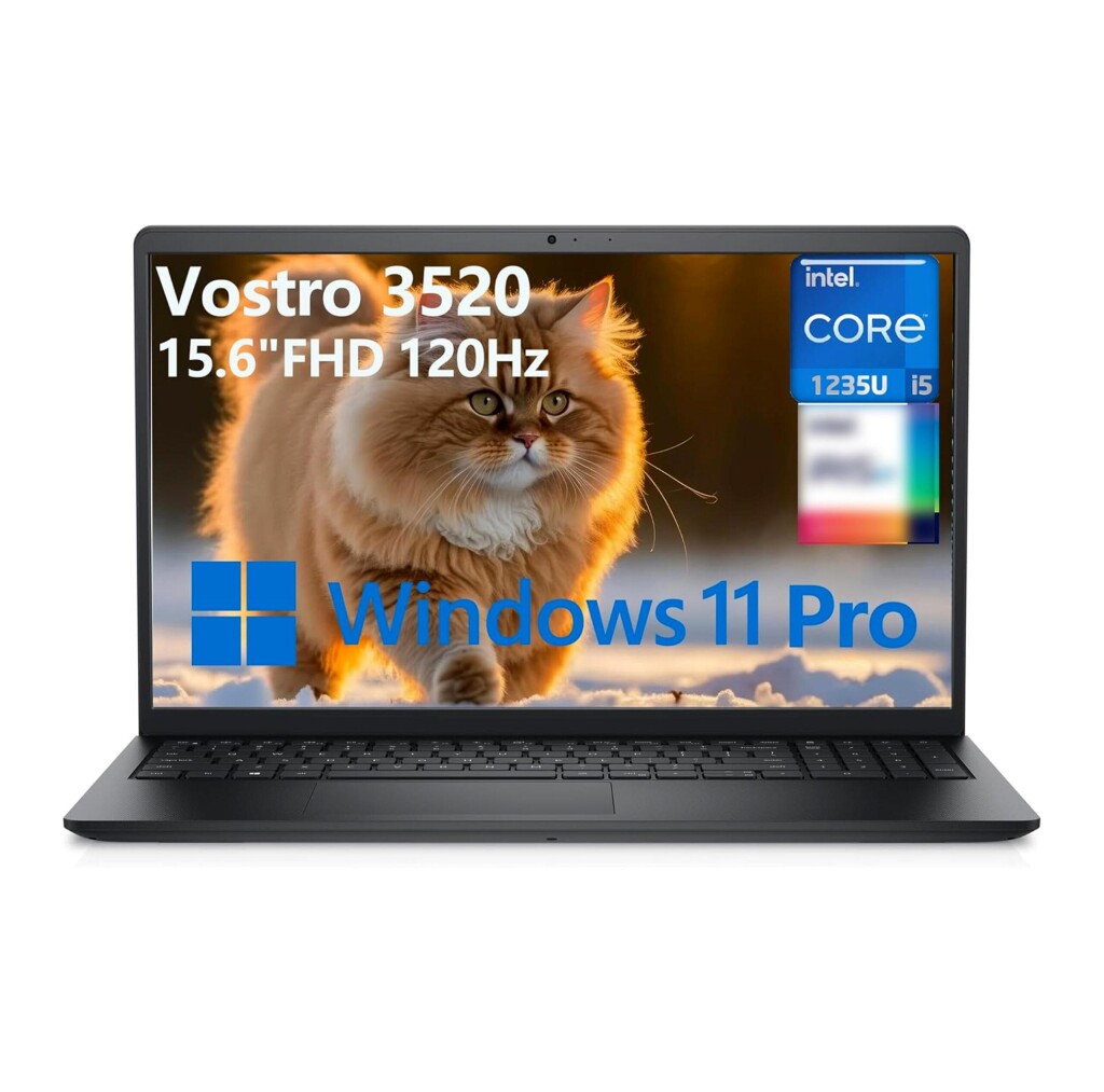 DELL VOSTRO 3520 15.6" | 3000-15